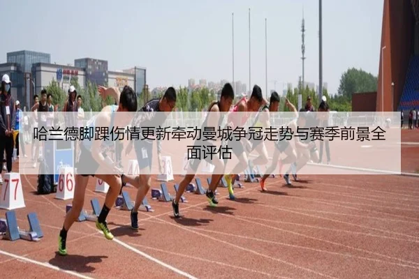 img_1780180966624_3489_1_448.jpg
